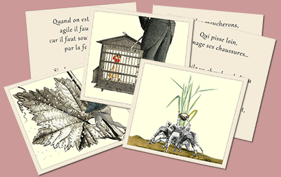 MARC VIDAL 66 Drôles de Dictons