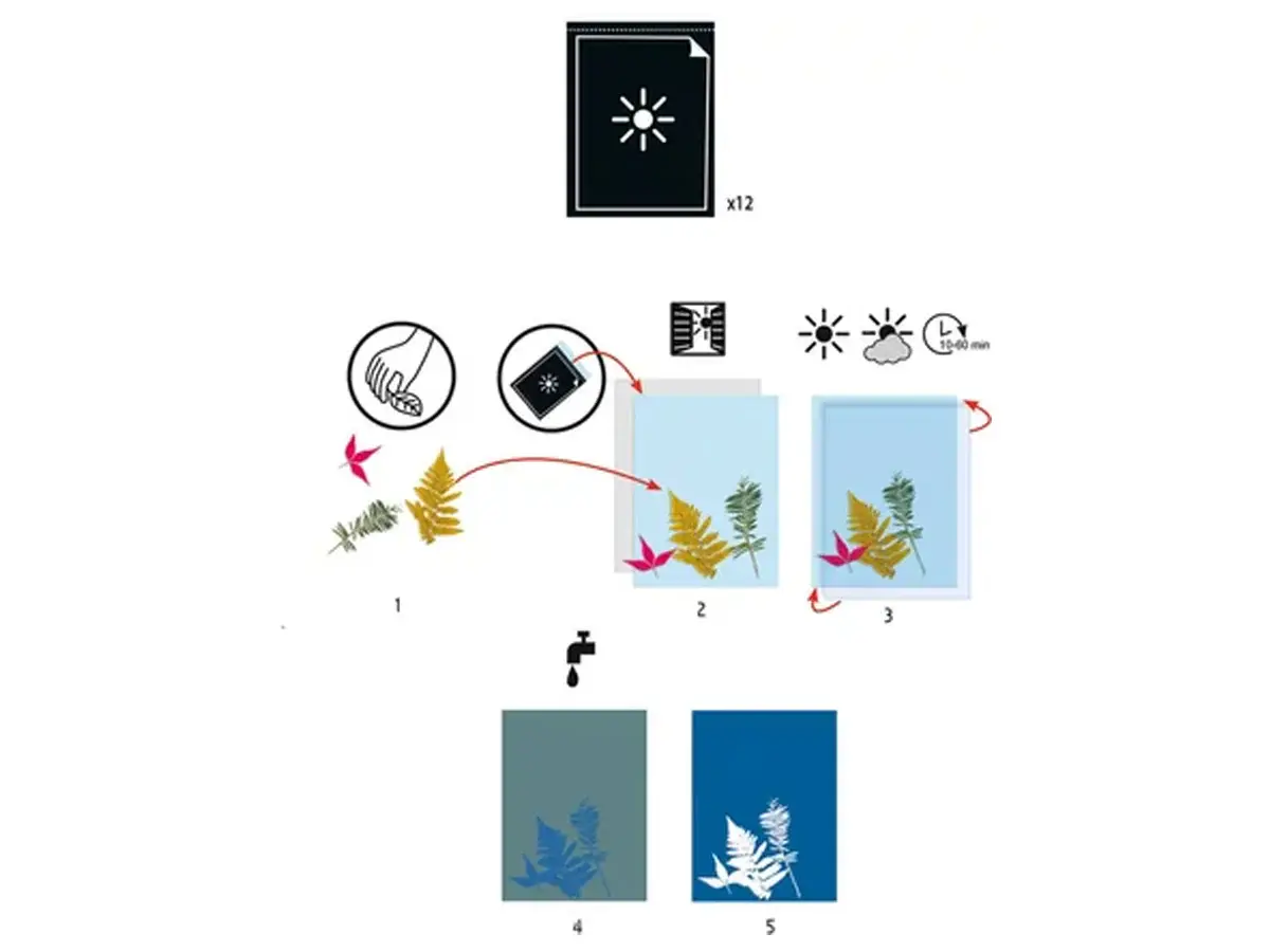 DJECO Les Plus Grands - Ateliers 12 Papiers Pour Cyanotype