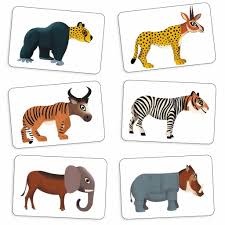 DJECO Jeux De Cartes Anijumble