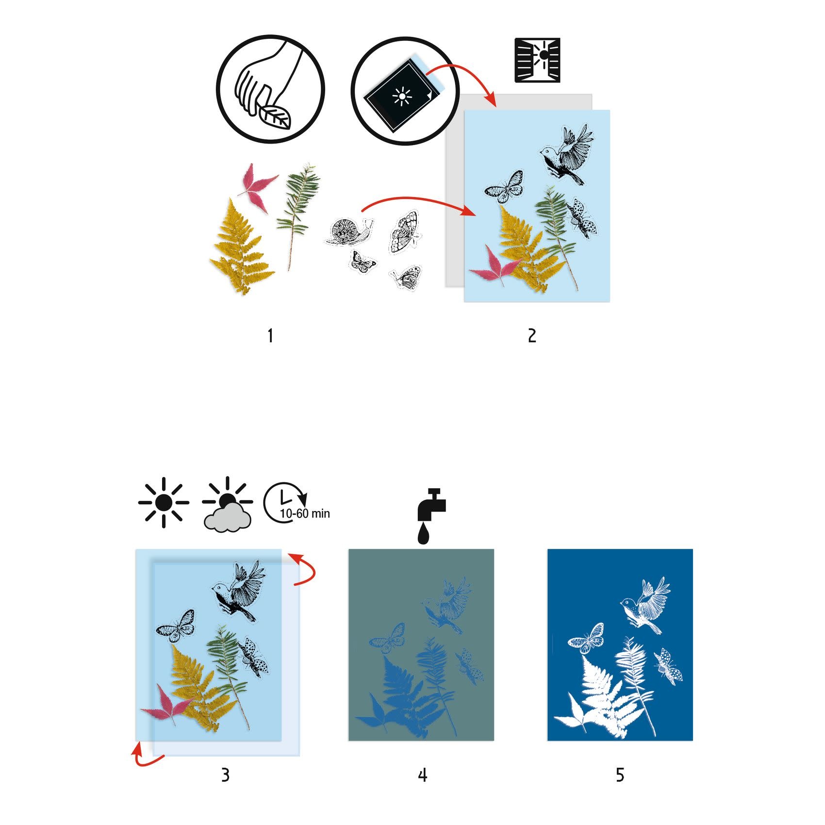 DJECO Les Plus Grands - Ateliers Papier Pour Cyanotype