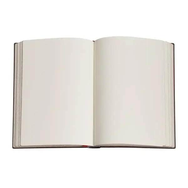 PAPERBLANKS Carnets à couverture rigide La Quête Continue Ultra pages Non lignées personnalisé