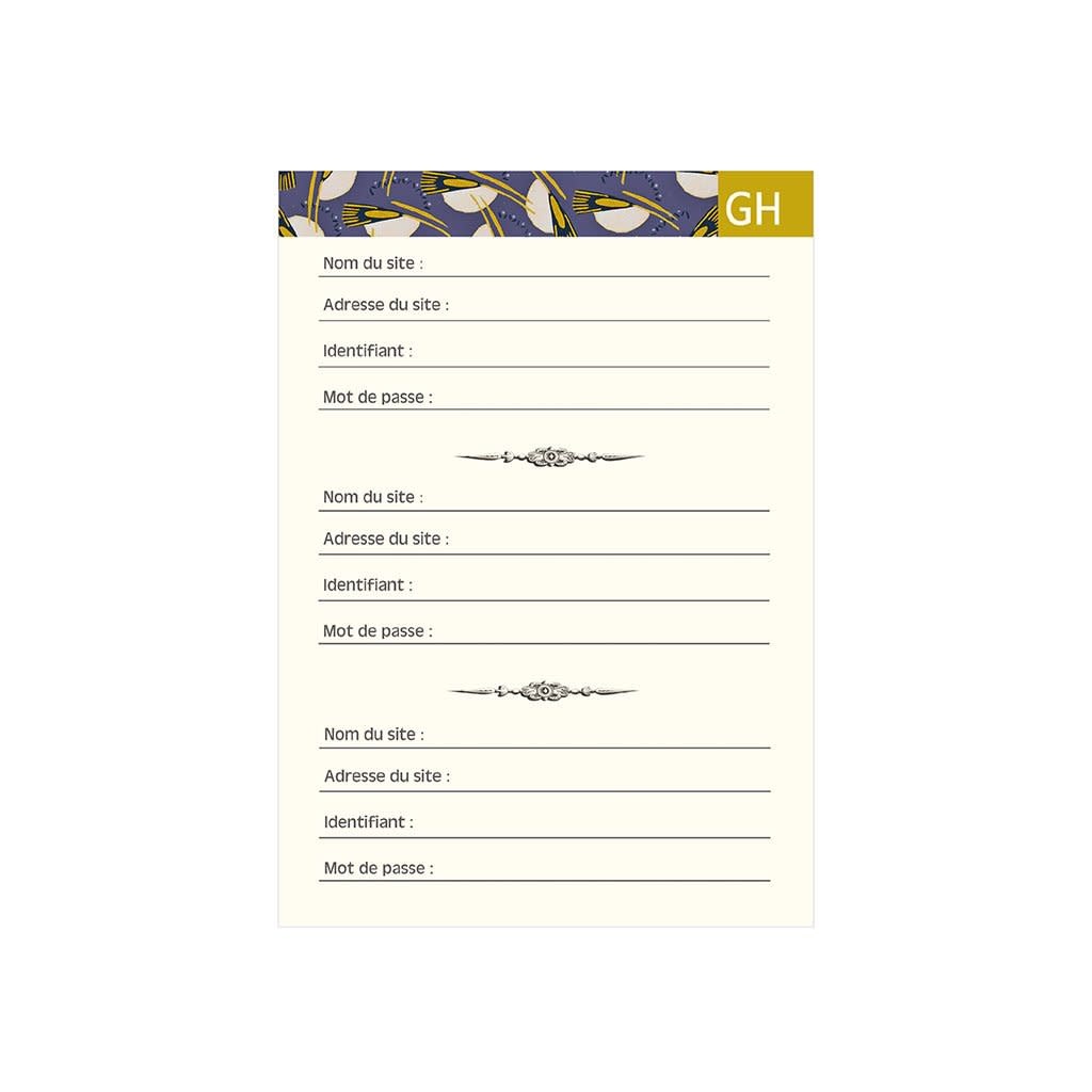 Gt Carnet Mot De Passe 48 Pages 10 X 15 Cm - Ara Bleu