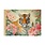 Cahier Illustre 48 Pages 21 X 15 Cm - Monde Animal