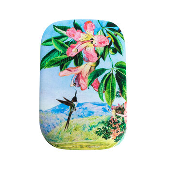 EDITIONS DU DESASTRE Le Musée - boîte à bijoux - North - Oiseau 8,5x5,5x2,5cm