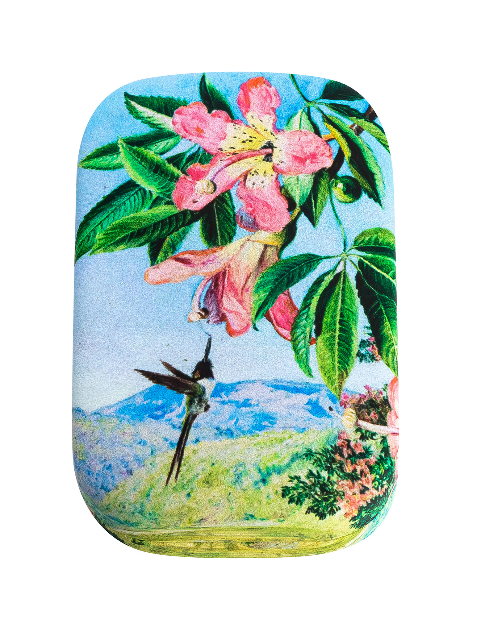 EDITIONS DU DESASTRE Le Musée - boîte à bijoux - North - Oiseau 8,5x5,5x2,5cm