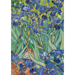 EDITIONS DU DESASTRE Le Musée - carnet A6 - Van Gogh - Iris  10x15cm 192 pages lignées 80g