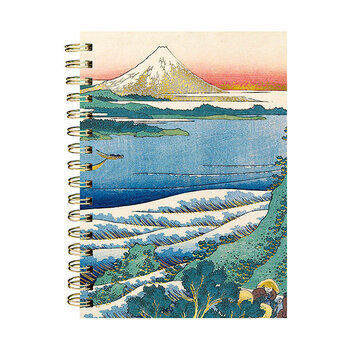 EDITIONS DU DESASTRE Le Musée - Carnet à spirales - Akahito - Montagne 16x21cm 192 pages lignées 100g