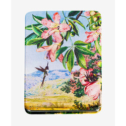 EDITIONS DU DESASTRE Le Musée - miroir rect - North - Oiseau  8x6cm