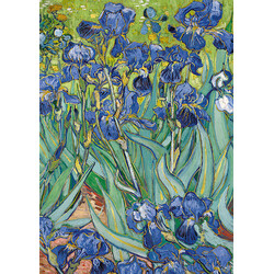 EDITIONS DU DESASTRE Le Musée - cahier - Van Gogh - Iris 15x21cm 48 pages lignées 80g