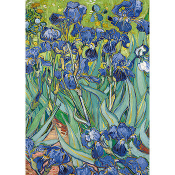 EDITIONS DU DESASTRE Le Musée - cahier - Van Gogh - Iris 15x21cm 48 pages lignées 80g