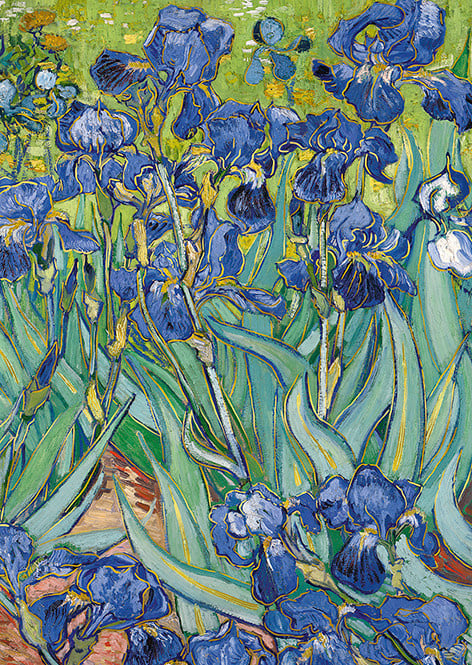 EDITIONS DU DESASTRE Le Musée - cahier - Van Gogh - Iris 15x21cm 48 pages lignées 80g