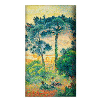 EDITIONS DU DESASTRE Le Musée - Pochette à lunettes - Cross - Provence 9,5x18cm