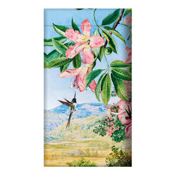 EDITIONS DU DESASTRE Le Musée - Pochette à lunettes - North - Oiseau 9,5x18cm