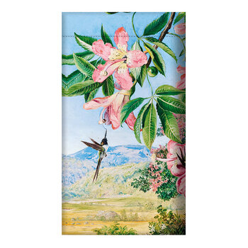 EDITIONS DU DESASTRE Le Musée - Pochette à lunettes - North - Oiseau 9,5x18cm