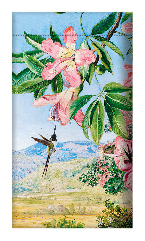 EDITIONS DU DESASTRE Le Musée - Pochette à lunettes - North - Oiseau 9,5x18cm