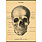 CAVALLINI PAPERS Affiche 50 X 70 Cm Crane Humain