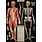 CAVALLINI PAPERS Affiche 50 X 70 Cm Anatomie