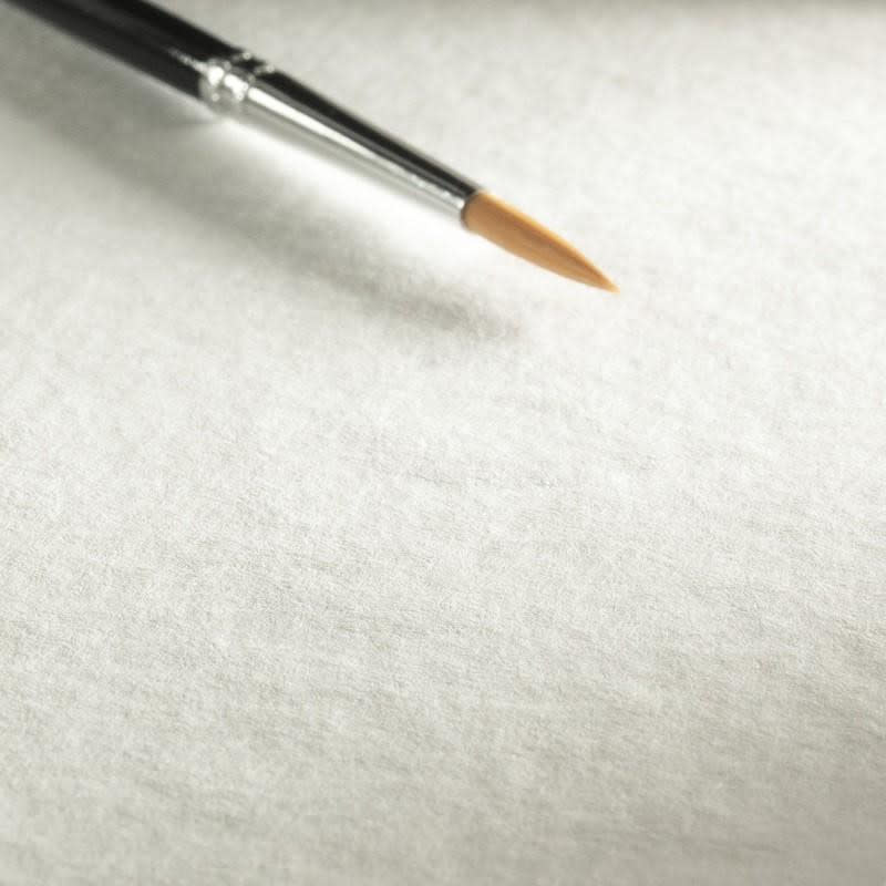 HAHNEMÜHLE Bloc Aquarelle "Torchon" 275g/m², 12x17cm, 20feuilles