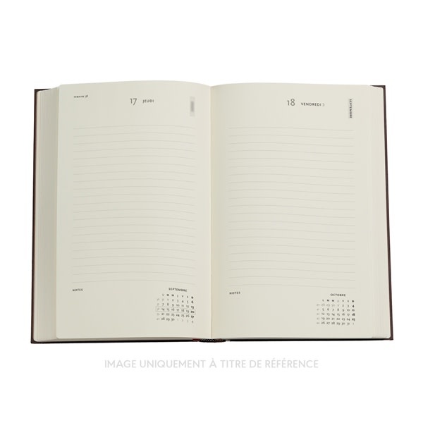 PAPERBLANKS Agenda Journalier 13 mois Couverture souple 2026-2027 Picaresque Maxi