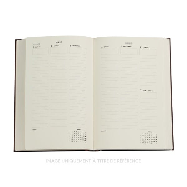 PAPERBLANKS Agenda Vertical 13 mois Couverture rigide 2026-2027 Chant des Fleurs Sauvages Maxi
