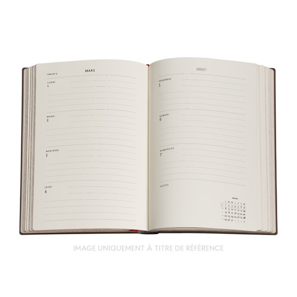 PAPERBLANKS Agenda Horizontal 13 mois Couverture rigide 2026-2027 Jane Austen, Persuasion Mini