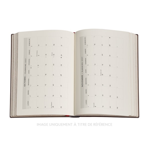 PAPERBLANKS Agenda Horizontal 13 mois Couverture rigide 2026-2027 Jane Austen, Persuasion Mini