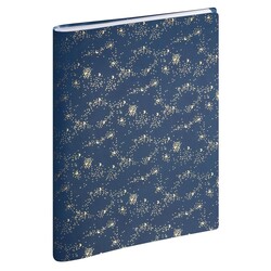 EXACOMPTA Agenda Semainier Bureau SAD 20S Méline 15x21cm couleurs aléatoires