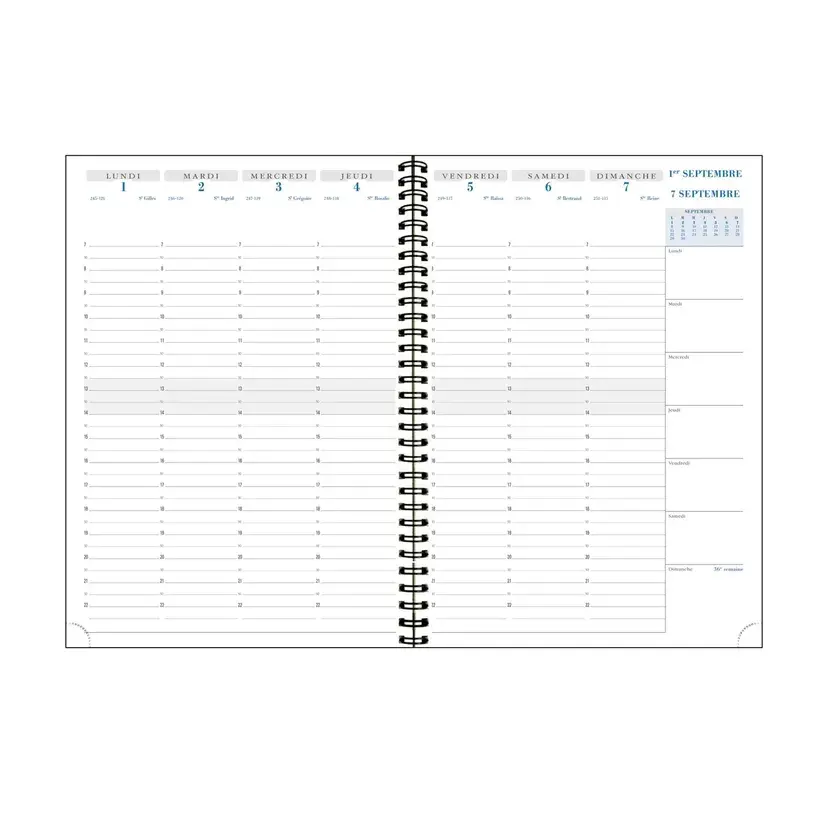 EXACOMPTA Agenda Semainier Bureau SAD 29 Méline 21x29,7cm couleurs aléatoires