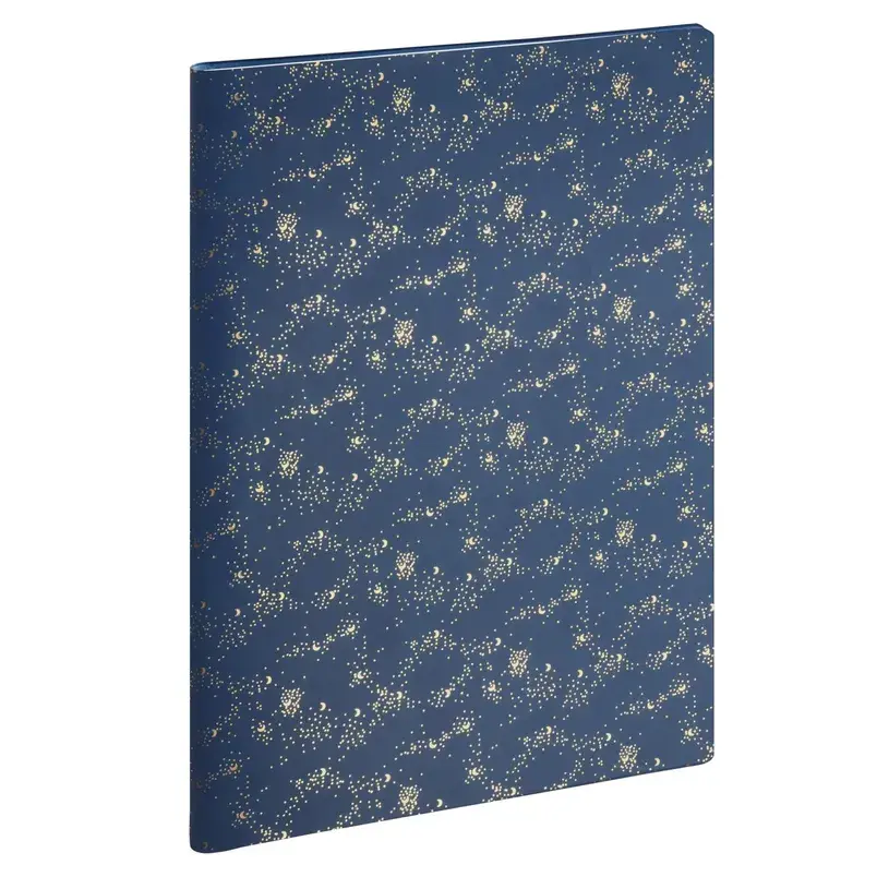 EXACOMPTA Agenda Semainier Bureau SAD 29 Méline 21x29,7cm couleurs aléatoires