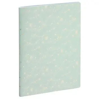 EXACOMPTA Agenda Semainier Bureau SAD 29 Méline 21x29,7cm couleurs aléatoires