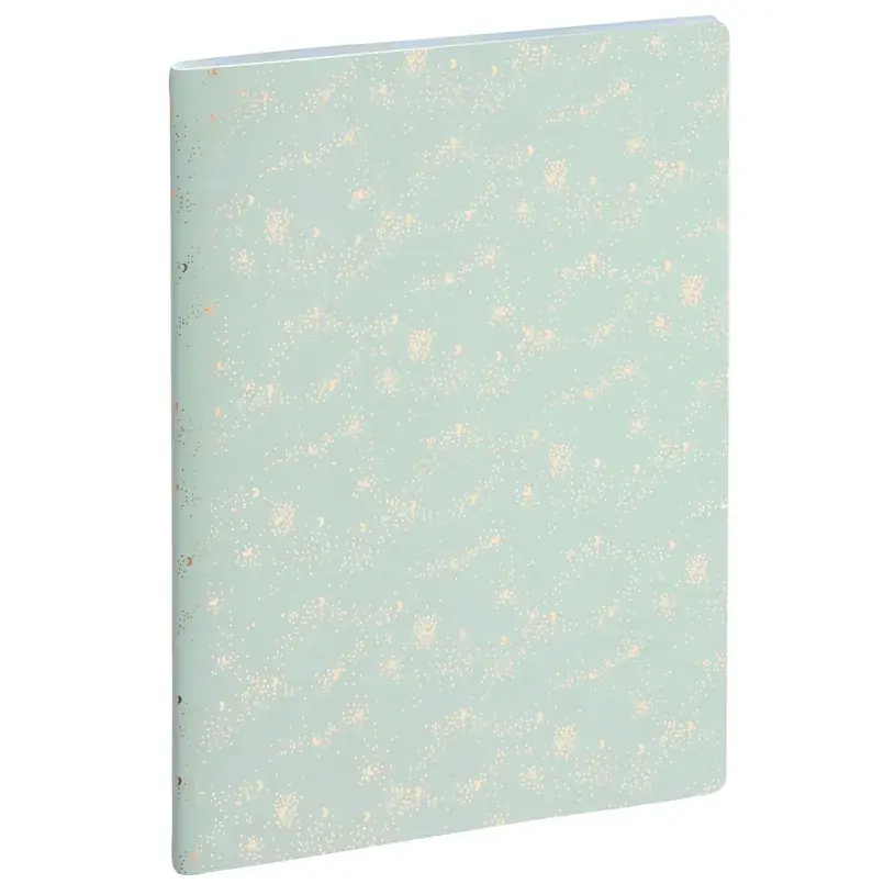 EXACOMPTA Agenda Semainier Bureau SAD 29 Méline 21x29,7cm couleurs aléatoires