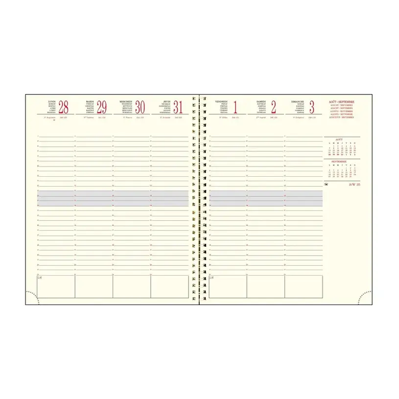 EXACOMPTA Agenda Semainier Bureau SAD 22S Méline 18,5x22,5cm couleurs aléatoires