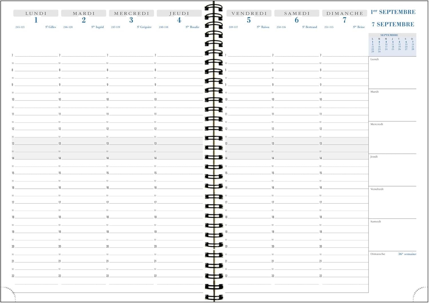 EXACOMPTA Agenda Semainier Bureau SAD 29S Gustave Marine/grège 21x29,7cm
