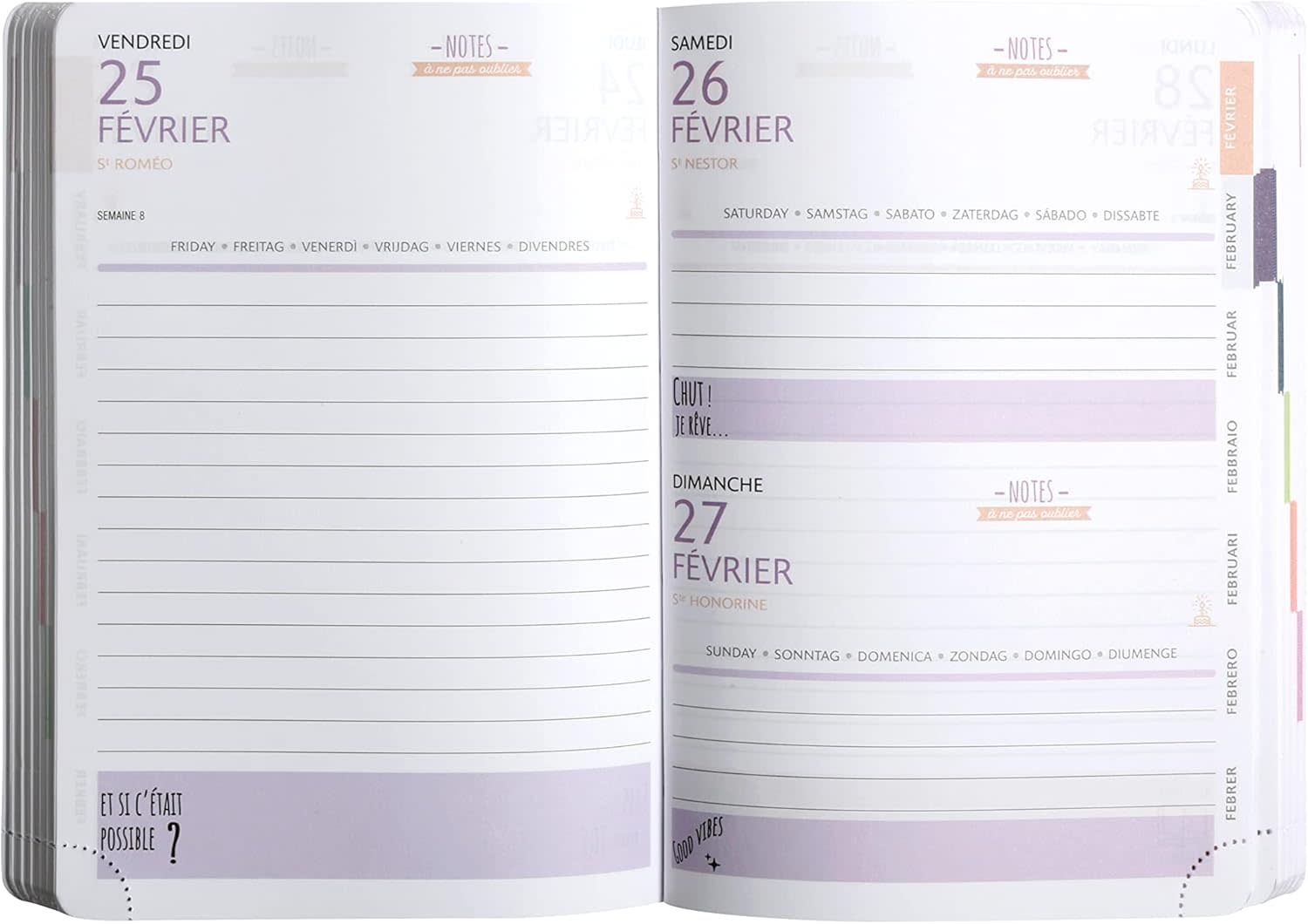 EXACOMPTA Agenda Journalier Forum Color les Rideuses Surf 12x17cm