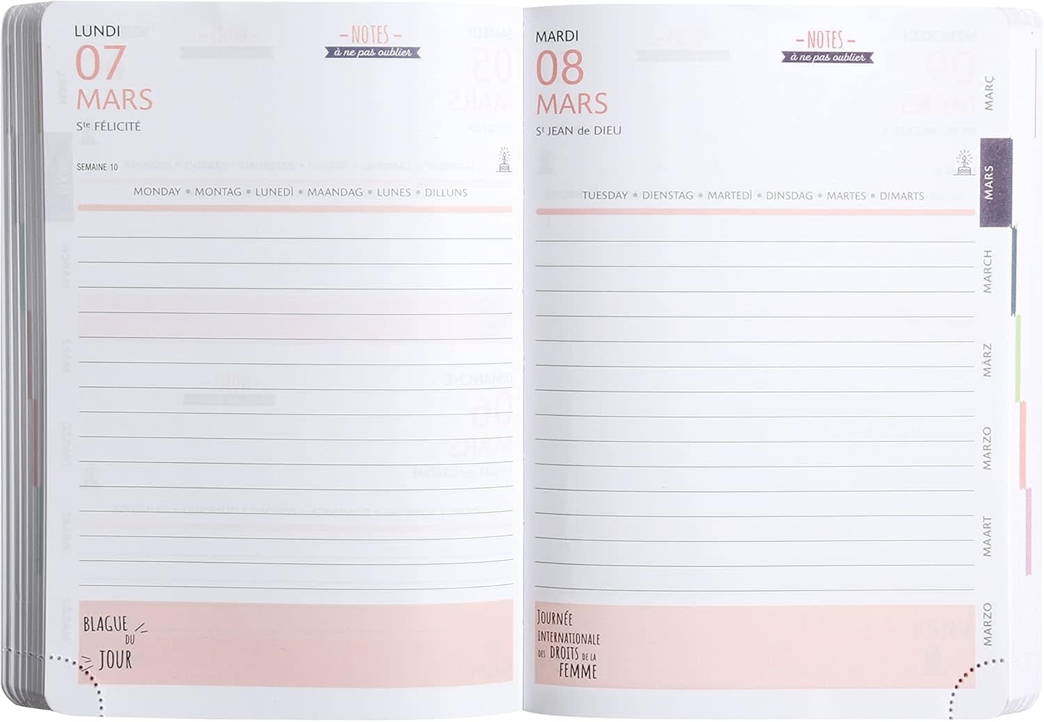 EXACOMPTA Agenda Journalier Forum Color les Rideuses Surf 12x17cm
