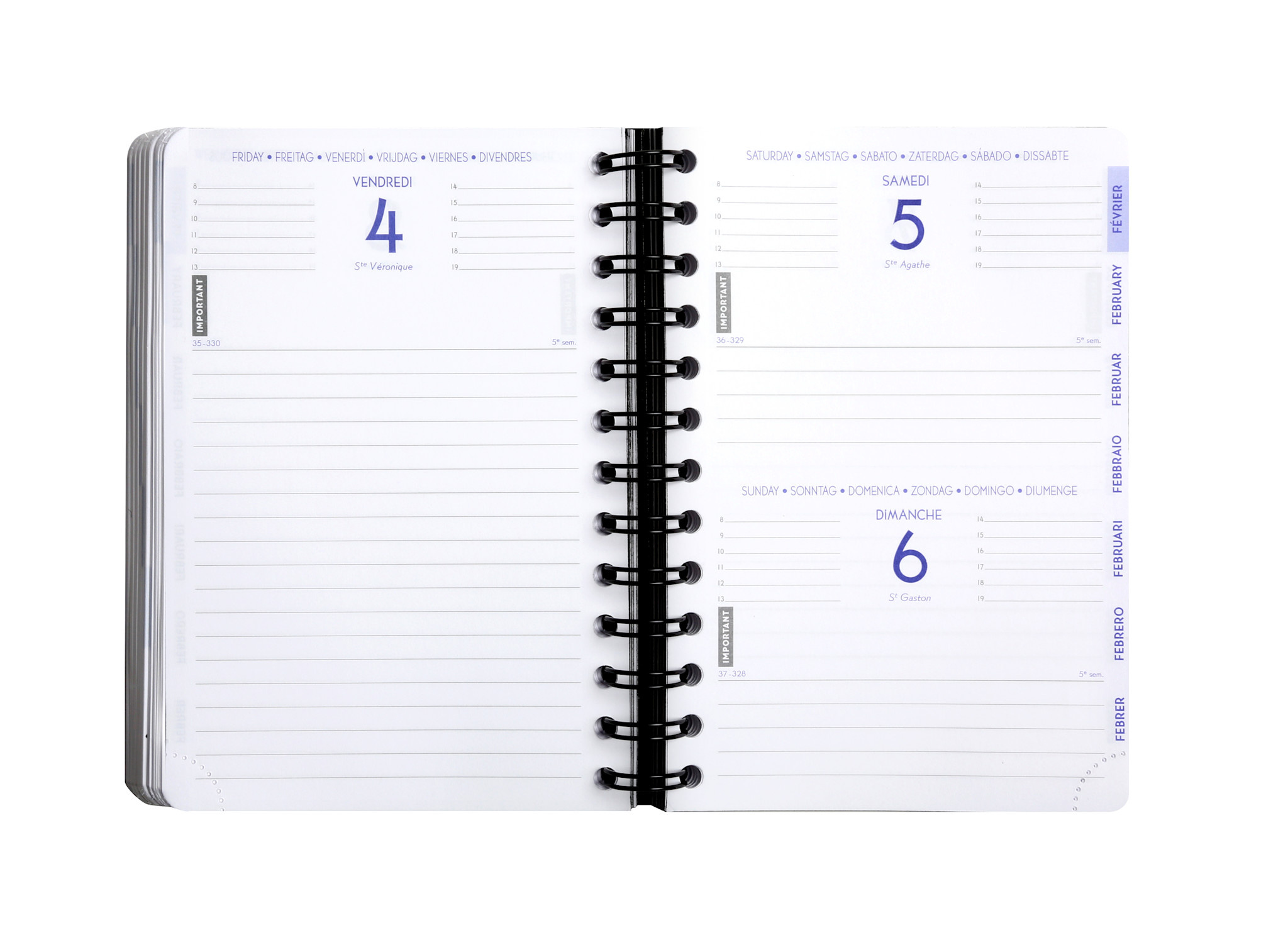EXACOMPTA Agenda Journalier Forum Shiny Bandana 12x17cm