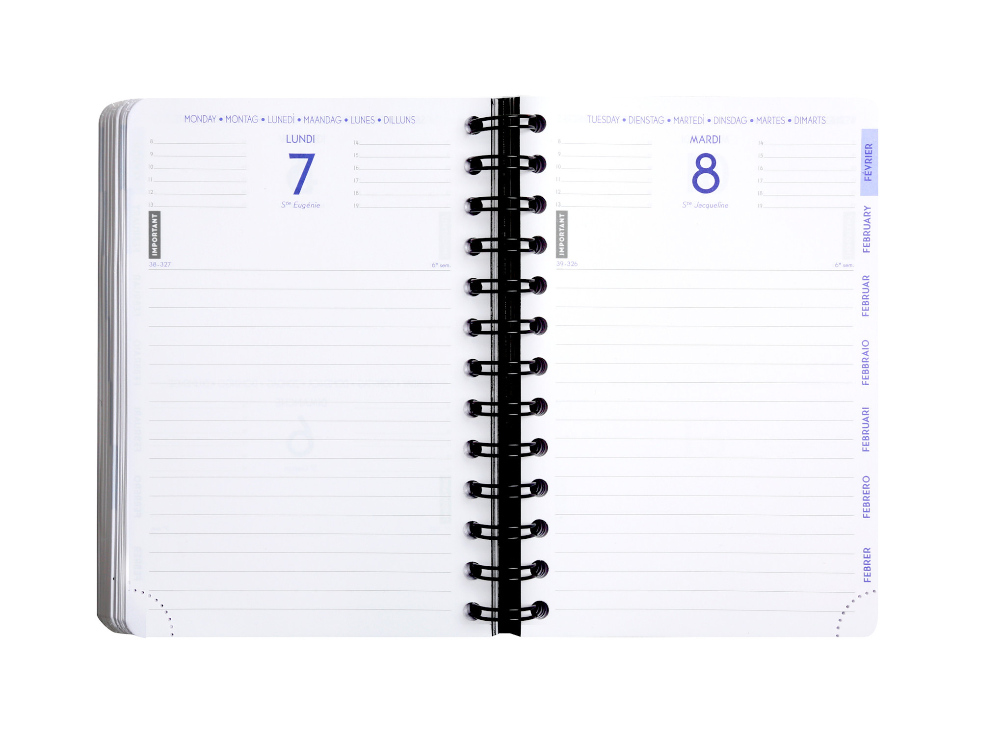 EXACOMPTA Agenda Journalier Forum Shiny Bandana 12x17cm