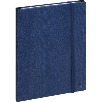 EXACOMPTA Agenda All In One Semainier SAD 20S Bleu 15x21cm