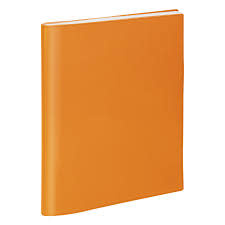 EXACOMPTA Agenda Semainier Bureau SAD 20S Vérone 15x21cm modèles aléatoires