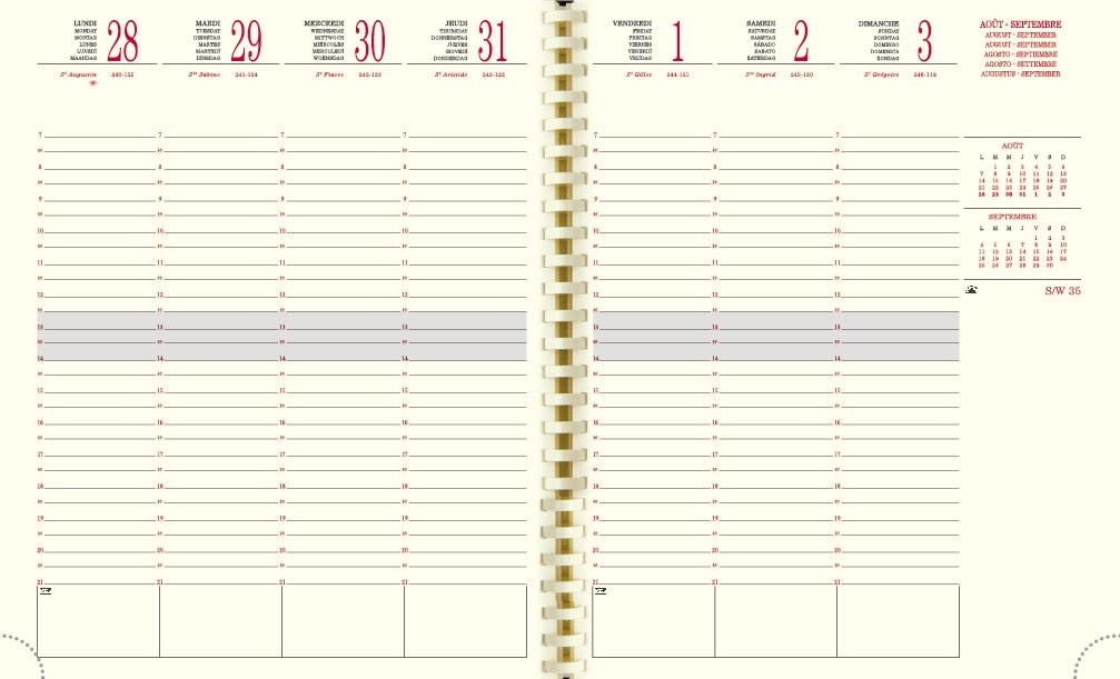 EXACOMPTA Agenda Semainier Bureau SAD 22S Vérone 18,5x22,5cm Couleurs aléatoires