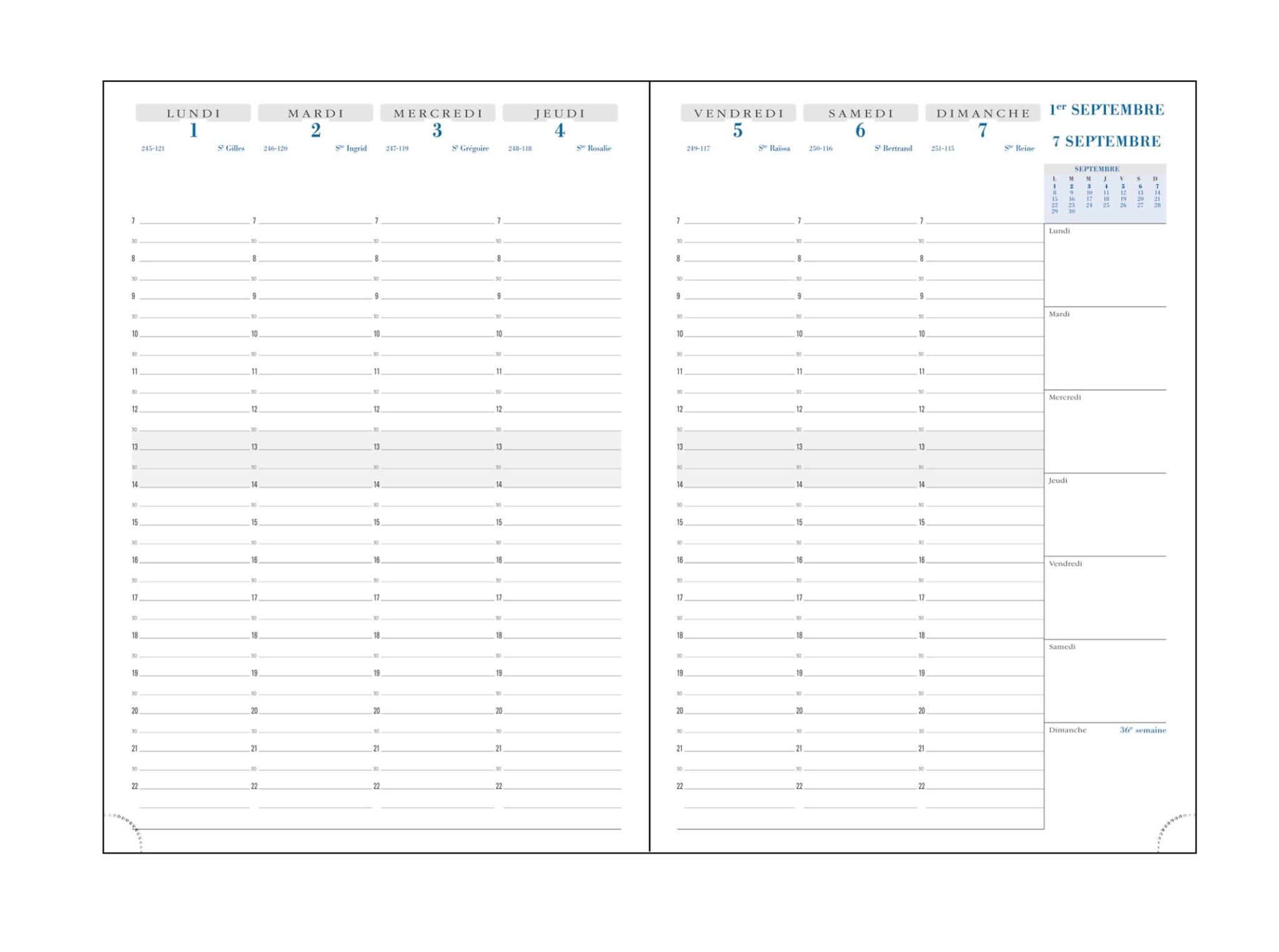 EXACOMPTA Agenda Semainier Bureau SAD 29 Vérone 21x29,7cm Couleurs aléatoires
