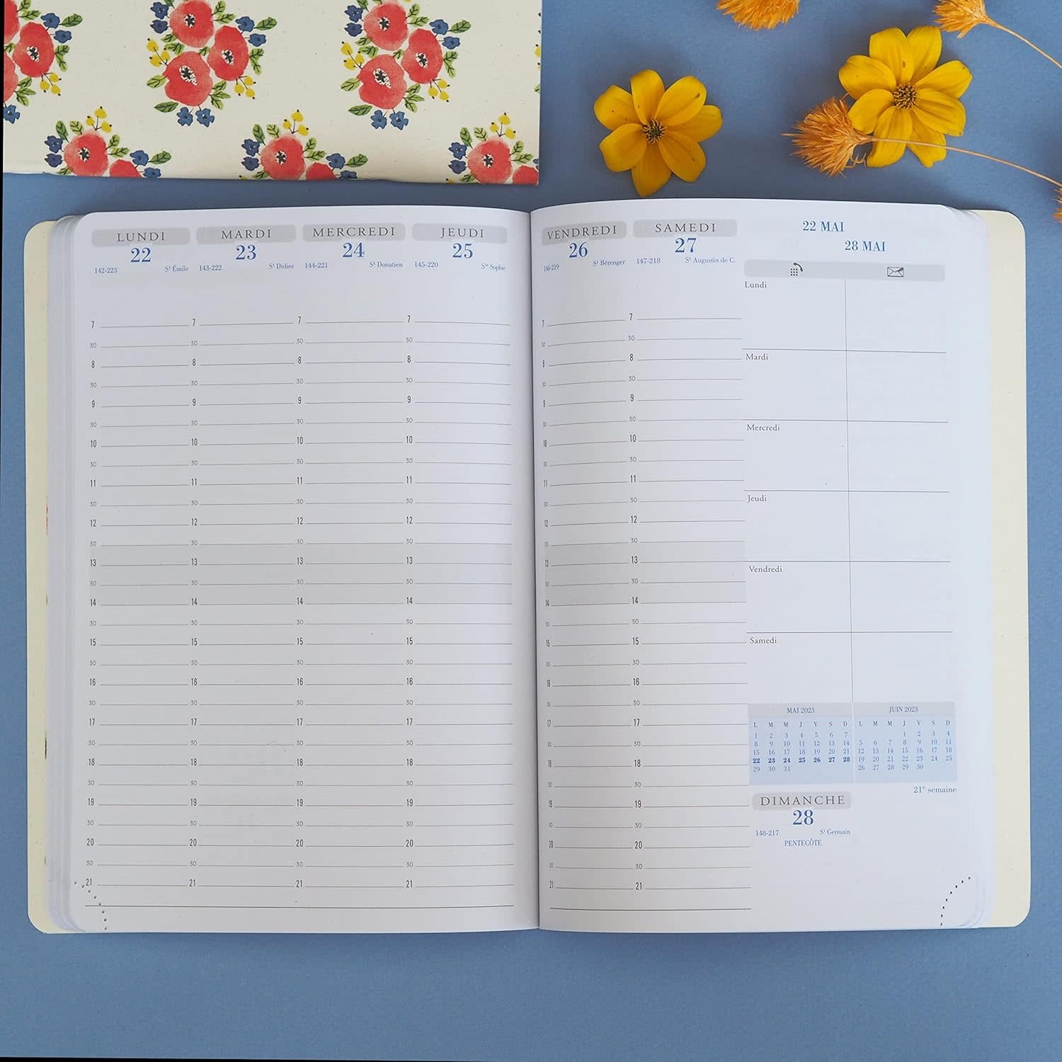 EXACOMPTA Agenda Semainier Bureau SAD 20 Julie Adore Maison 15x21cm