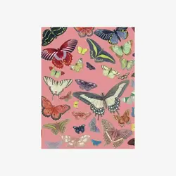 LES JOLIES PLANCHES Petit Carnet Papillons 15x11cm