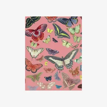 LES JOLIES PLANCHES Petit Carnet Papillons 15x11cm