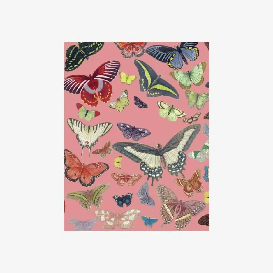 LES JOLIES PLANCHES Petit Carnet Papillons 15x11cm