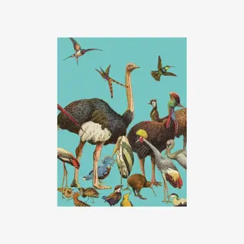 LES JOLIES PLANCHES Petit Carnet Oiseaux 15x11cm