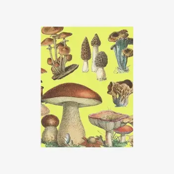 LES JOLIES PLANCHES Petit Carnet Champignons 15x11cm