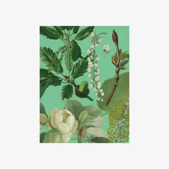 LES JOLIES PLANCHES Petit Carnet Arbres 15x11cm