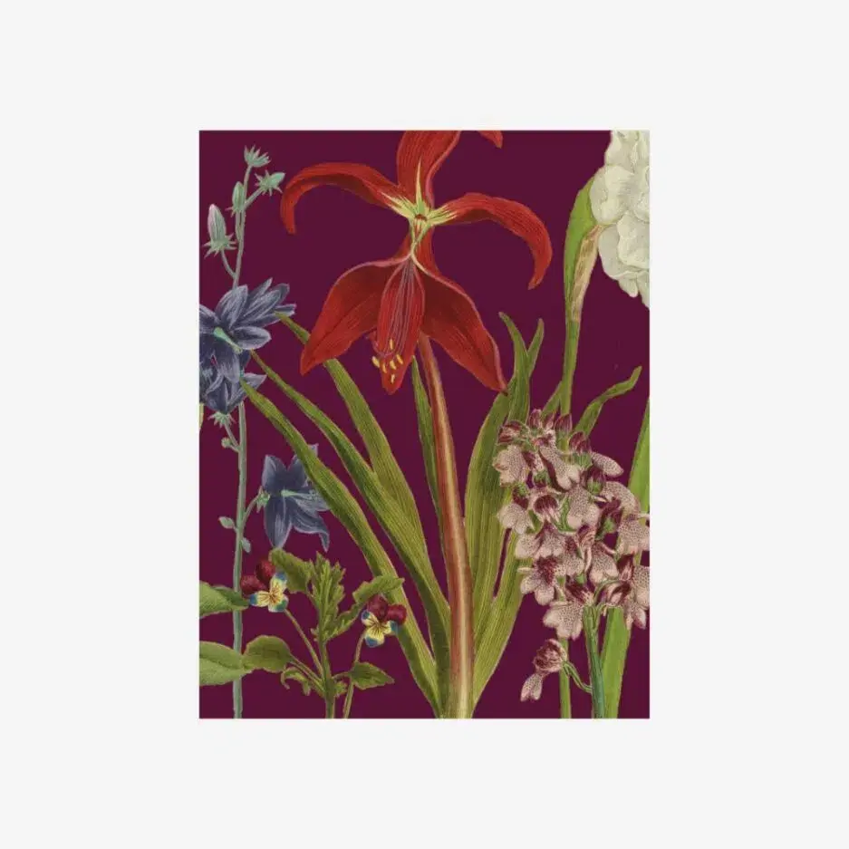 LES JOLIES PLANCHES Petit Carnet Jardin 15x11cm