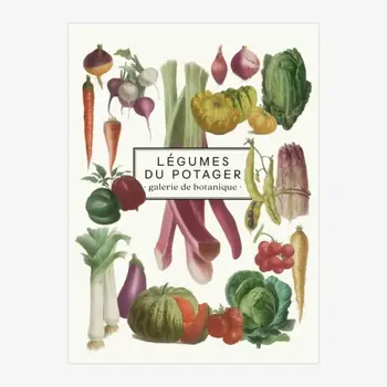 LES JOLIES PLANCHES Carnet Légumes 19x15cm